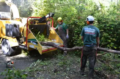 tree services Dos Palos